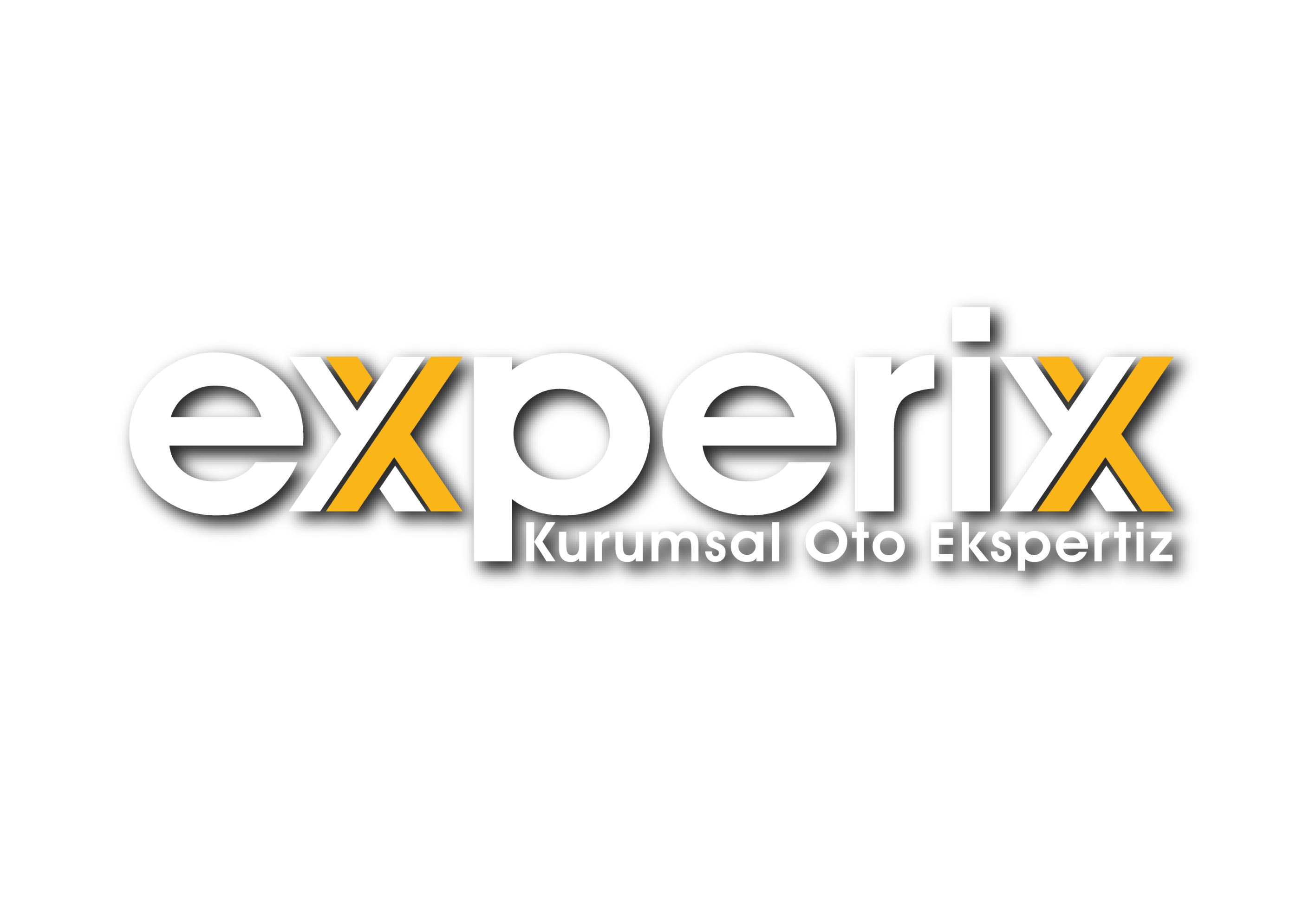 Experix Logo